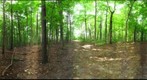 Dairy Bush GigaPan - 102 - August 10 2011