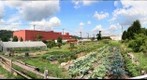 Braddock Farm 2011