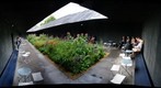 Oudolf garden, Hyde Park's Serpentine Gallery Pavilion 
