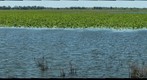 Squaw Creek National Wildlife Refuge 4