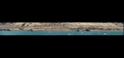 84199-400x189