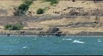 Kiteboarding Rufus OR 2