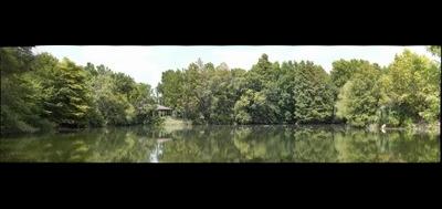 8426-400x189