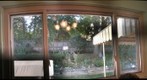 Test window