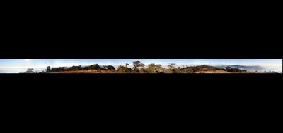 843-400x189