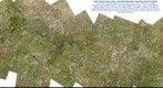 Eagle Summit alpine tundra ~ortho mosaic