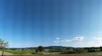 Newberg, OR Wine Country, Vineyards,  NE Calkins Lane area