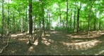 Dairy Bush GigaPan - 103 - August 17 2011