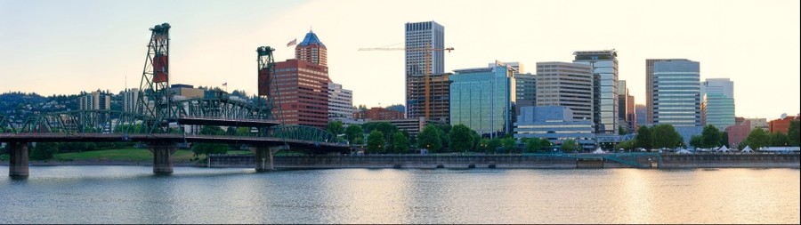 84487-900x253