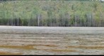 Luikonlahti tailing pond.