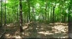 Dairy Bush GigaPan - 103 - August 18 2011