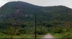 Brazil Rainforest