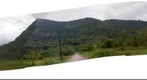 Brazil Rainforest