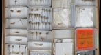 Coenagrionidae 4