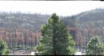 After the Wallow Fire