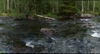 Staggbäcken