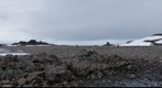 Morning Outing on Wilczek Island, Franz Josef Land, Russia