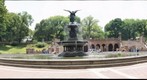 Central Park V