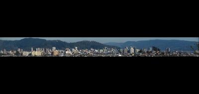 84916-400x189