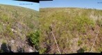 Eagle Summit plot montage