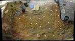 Excavations at Abri Castanet