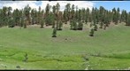 East Fork headwaters