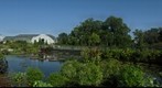 Lily Pool, Garfield Park Conservatory