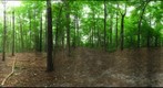 Dairy Bush GigaPan - 104 - August 24 2011