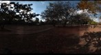 Garden in IBAMA
