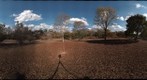 Garden in IBAMA
