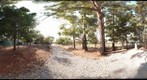 Garden in IBAMA