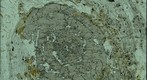 Thin Section of Garnet Schist from the Chester Dome, Vermont