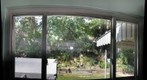 Test Window II