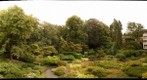 Private garden of an appartment building in Hilversum, The Netherlands
