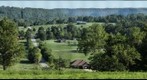 Hickory creek valley 500mm
