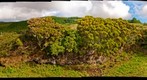 Balcoes Cave Entrance (Terceira, Azores)