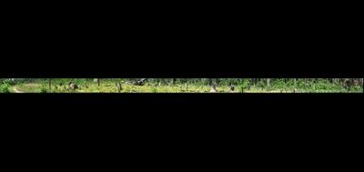 85604-400x189