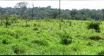 Pasture Field