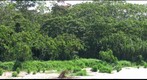 Tahuamanu River