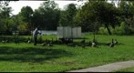 Hyde Park - Chicago IL