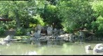 Jackson Park - Osaka Garden - Waterfall