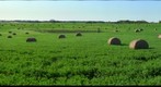 Round Bales