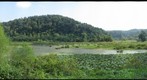Greenbottom Wildlife Management Area