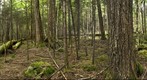 Nova Scotia,Panuke Nature Reserve