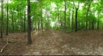 Dairy Bush GigaPan - 105 - August 31 2011