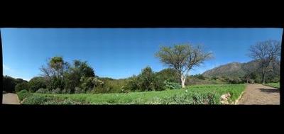 85933-400x189