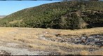 White Mountain McLoughlin Nature Reserve 10Aug11