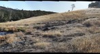 White Mountain-2 McLoughlin Nature Reserve Panoramo 10Aug11