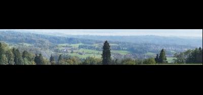86185-400x189