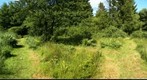 Heemtuin in Peize